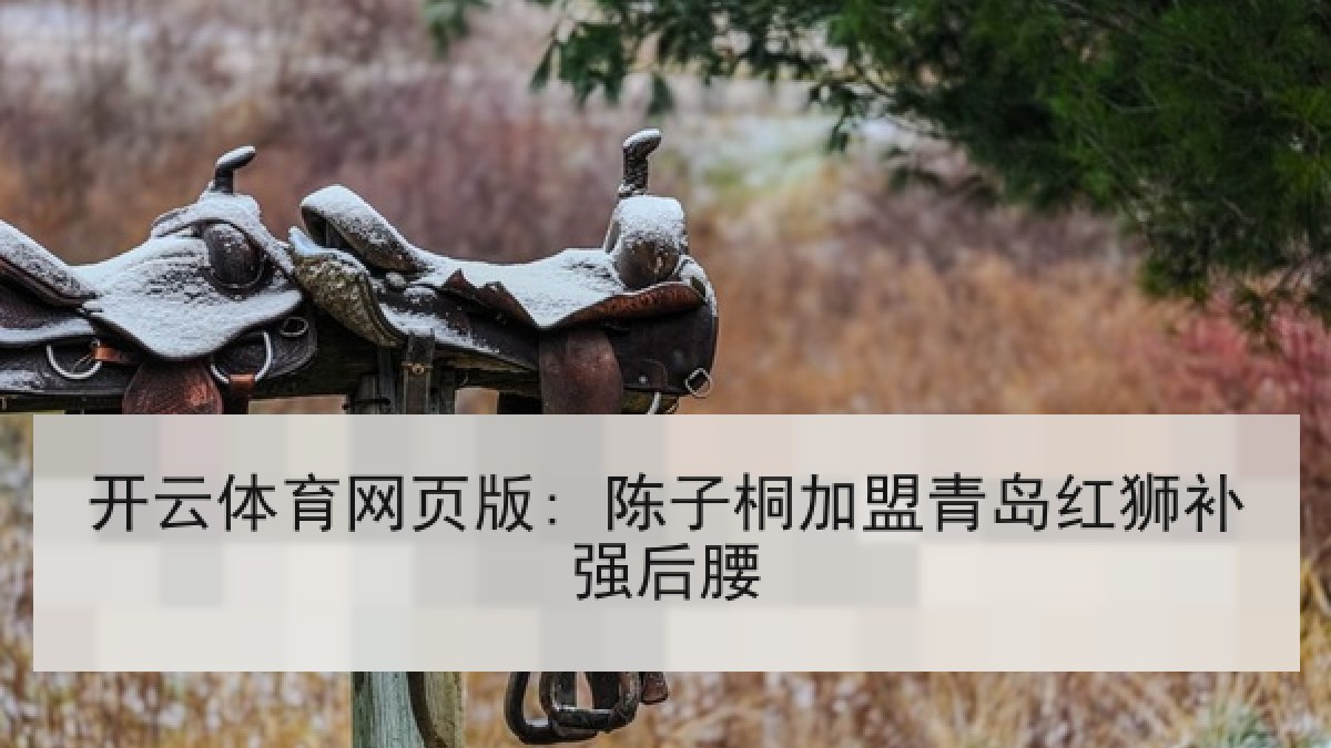 开云体育网页版: 陈子桐加盟青岛红狮补强后腰
