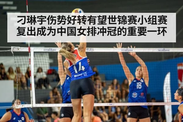 volleyball match action